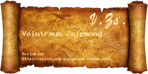 Veintraub Zsigmond névjegykártya